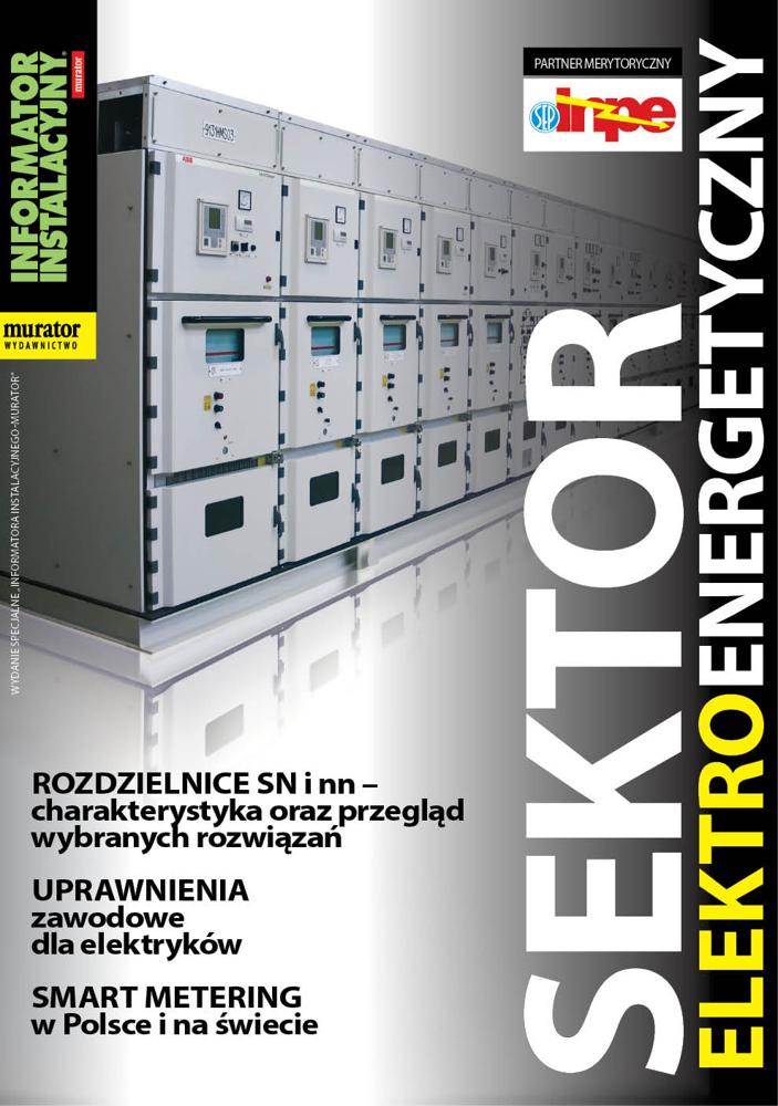 Sektor Elektroenergetyczny 2014